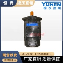 Elm hydraulic column pin type duplex vane pump oil pump PFED-43070 1643085 22 28 36 36 44