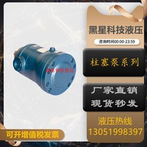 Shanghai Everhigh 1 2 5 5 10 25 40 40 80100160 80100160 250MCY14-1B axial plunger pump