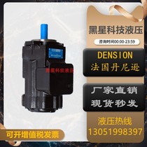 Pike France Denison DENISON hydraulic pump vane pump T6DC-042-025-1R0081 double oil pump