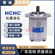 HC Hefei long source CBTD-F420 F425 F426 5 F426 F430 F432-ALP AFH4L gear oil pump