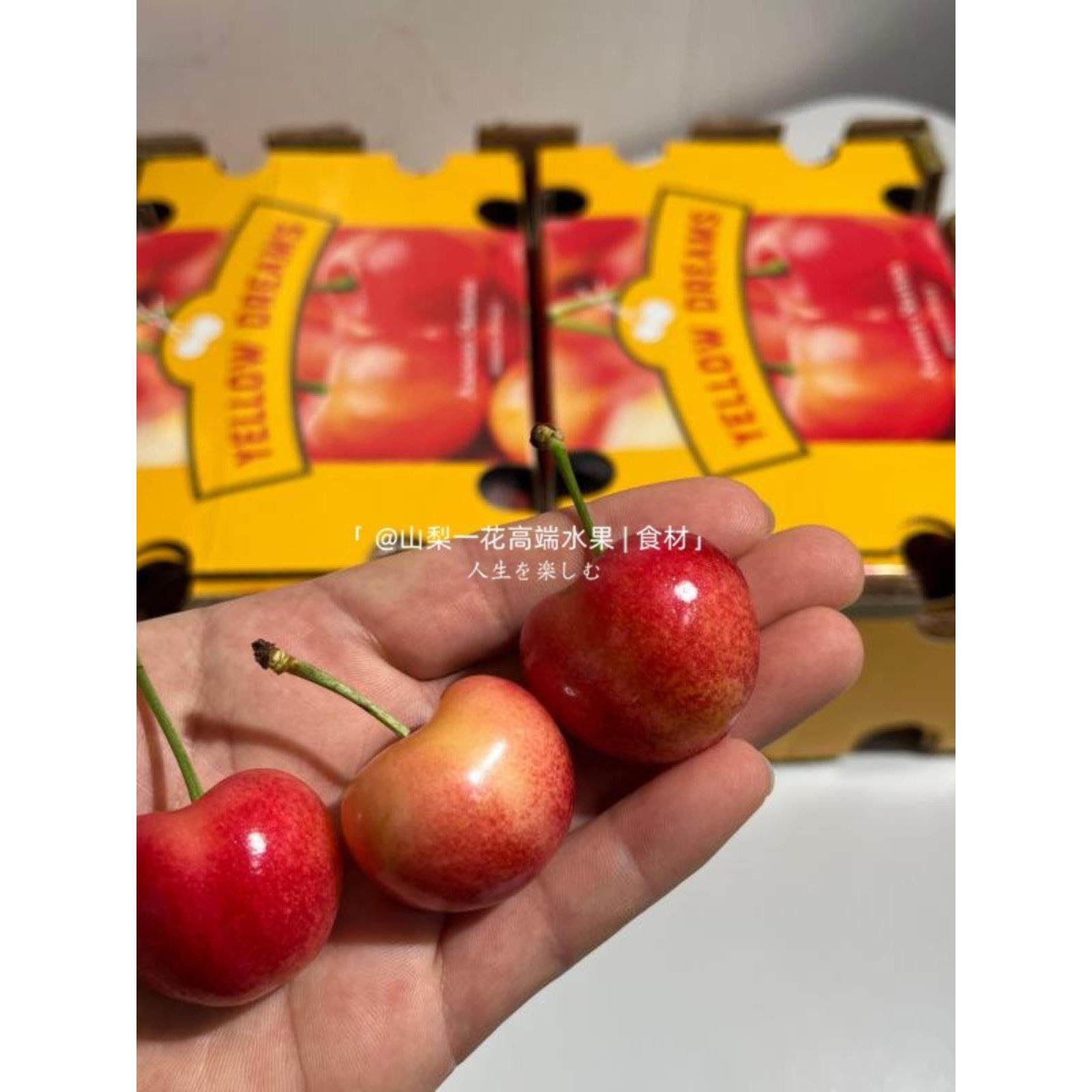 现货4JJJJ黄车厘子智利进口水果新鲜4斤礼盒黄金雷尼尔黄色樱桃1,淘宝优惠券,粉丝福利购,淘宝优惠卷