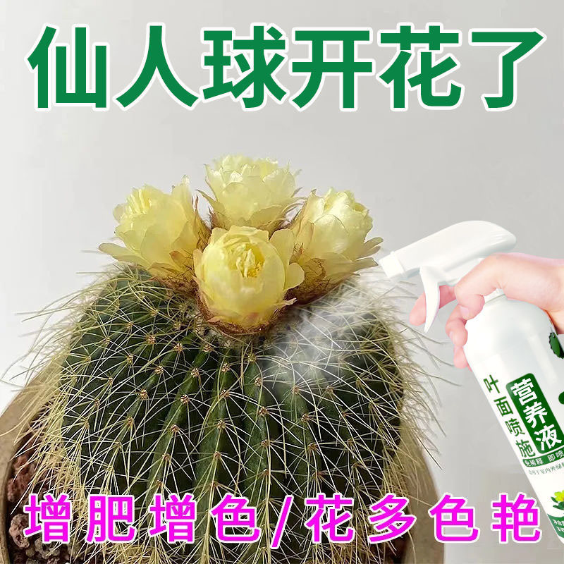 花草营养液通用仙人球营养液催花仙人掌肥料防烂根发软植物活力素 - 图1