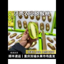 Shell Agro-green Heart kiwi Gooseberry Box Dress Gift to lead the Customer Long-year goods Chongqing Shuangfu Fruit