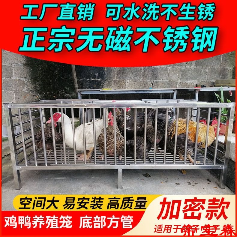 新款不锈钢鸡笼鸭笼兔笼鸽子笼家用大号耐用加密加厚养殖笼工厂店 - 图2