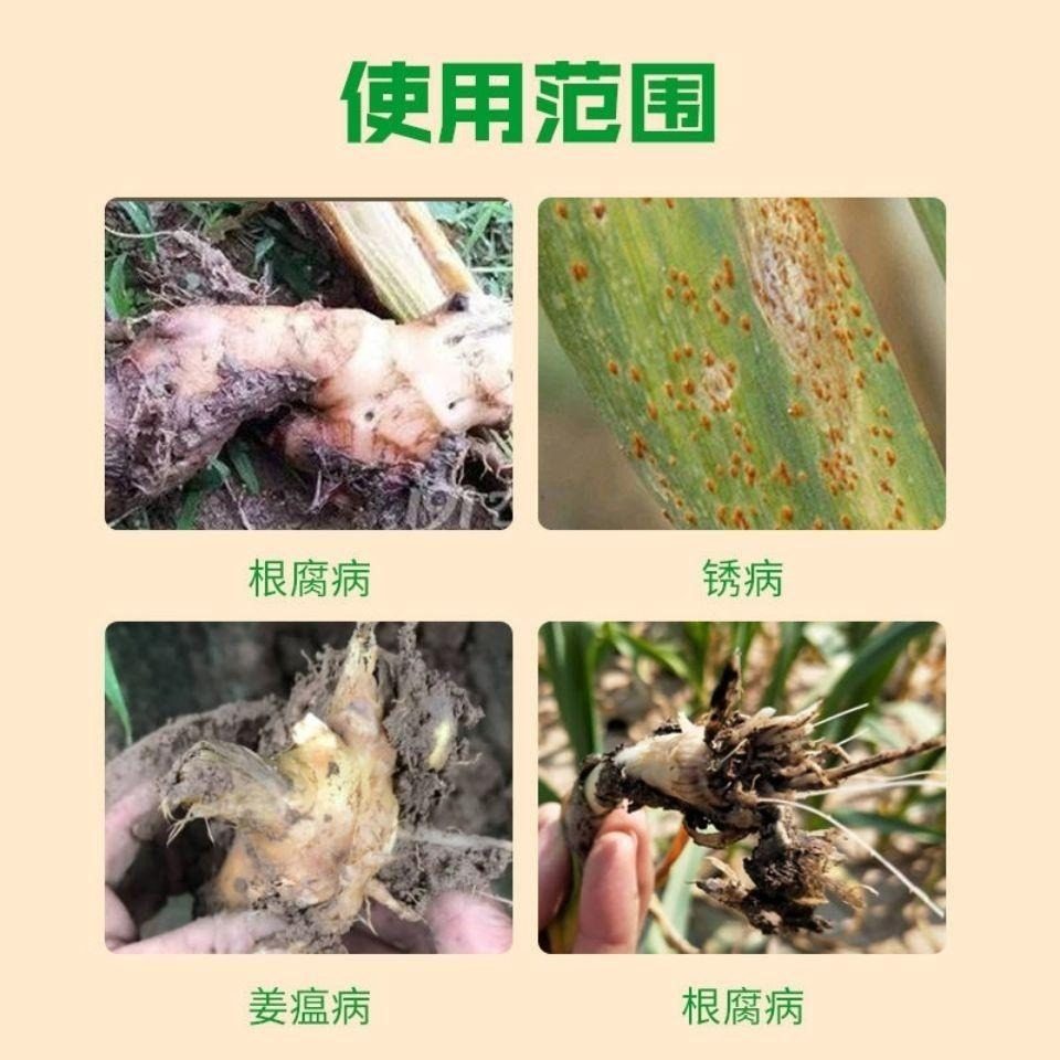 好美特葱姜蒜菌净干尖黄叶细黄链霉菌疫病腐烂农用肥