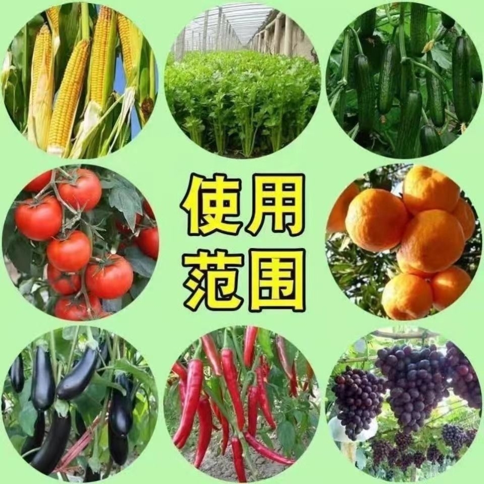 氮磷钾三元复合肥蔬菜农用种菜花卉果蔬有机肥料养花通用型100斤 - 图1