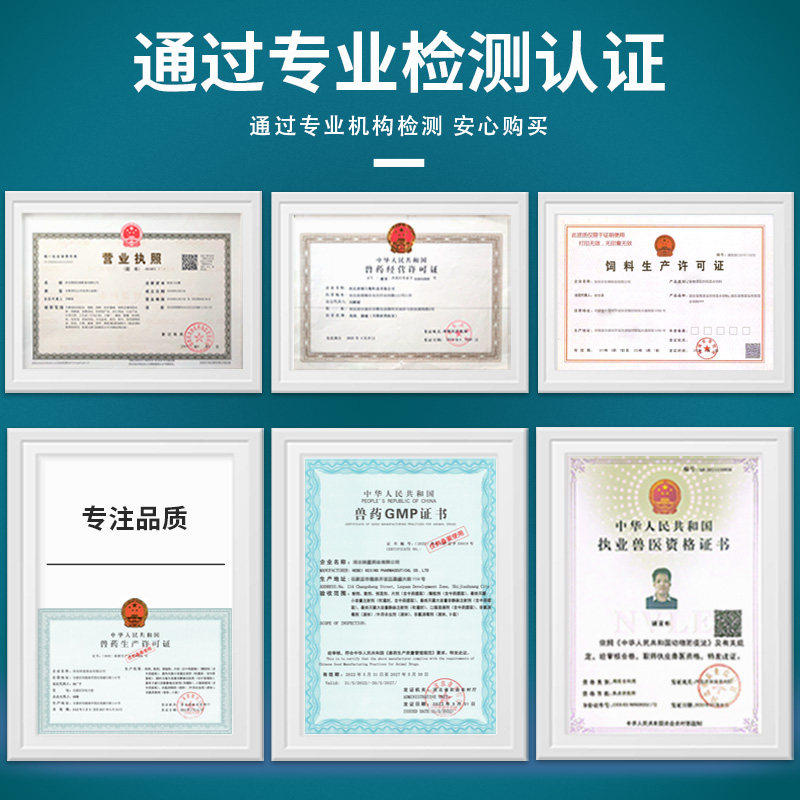 宠物狗狗益生菌肠胃宝猫咪专用养护肠胃幼犬小猫软开胃便消化不良,淘宝优惠券,粉丝福利购,淘宝优惠卷