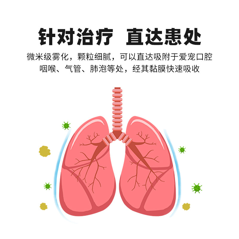 宠物雾化套餐狗狗猫咪感冒药打喷嚏流鼻涕专用药箱猫鼻支肺炎咳嗽,淘宝优惠券,粉丝福利购,淘宝优惠卷
