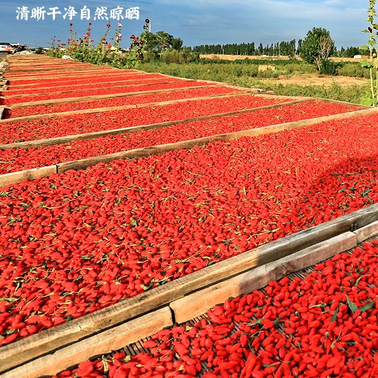 枸杞子宁夏正宗中宁免洗枸杞泡茶水500g茶男肾非特级官方旗舰店