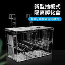 Fish tank isolation box Peacock fish propagation box theorizer small fry hatching mother fish acrylic young fish anchovies incl.