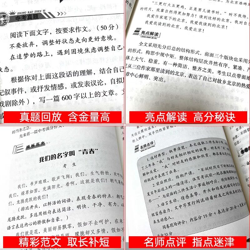 限时促销】2024中考满分作文语文英语初中生写作技巧书籍作文高分特辑素材范文精选全国中考五年真题作文人教版作文大全