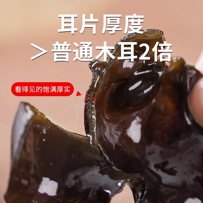 头茬500g东北黑木耳2025年干货东北长白山椴木山木耳菌菇肉厚香菇 - 图1