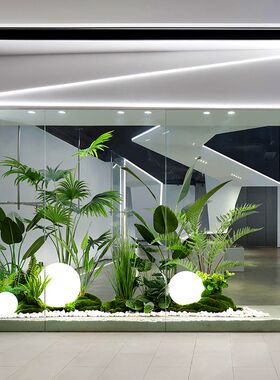 大型落地真绿植造景组合室内景观植物家居卖场橱窗装饰场景布置