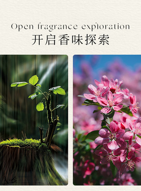 绝对呼吸无火香薰持久留香