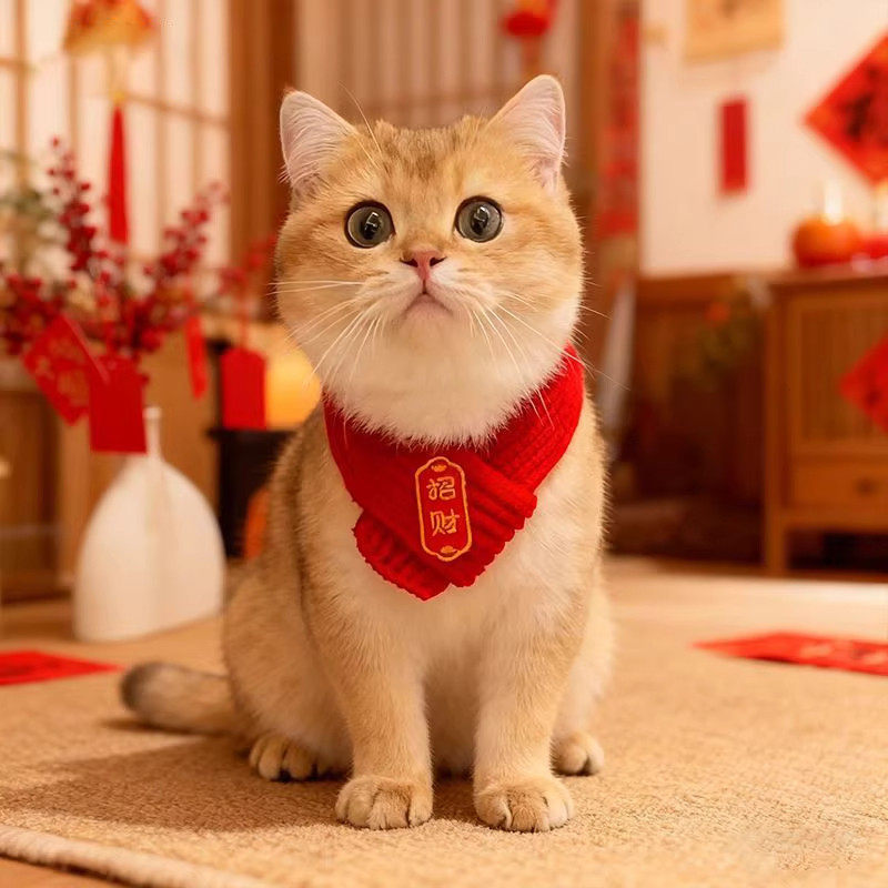 猫咪围脖小狗可爱项圈毛线宠物围巾围兜狗狗保暖配饰红色喜庆新年,淘宝优惠券,粉丝福利购,淘宝优惠卷