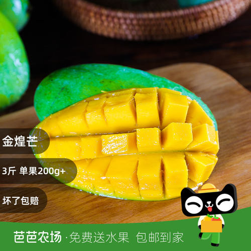 【芭芭农场专享兑换】金煌芒3斤丨用手轻按果肉 微软回弹即可食用 - 图0