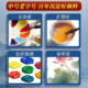 Marley Chinese Painting Pigments