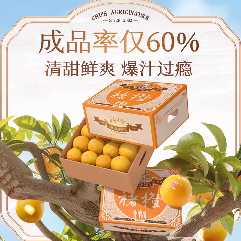 Authentic Yunnan Ailao Mountain rock sugar orange orange Chu orange Yunnan orange seasonal fresh fruit inspirational Chu piebald fruit