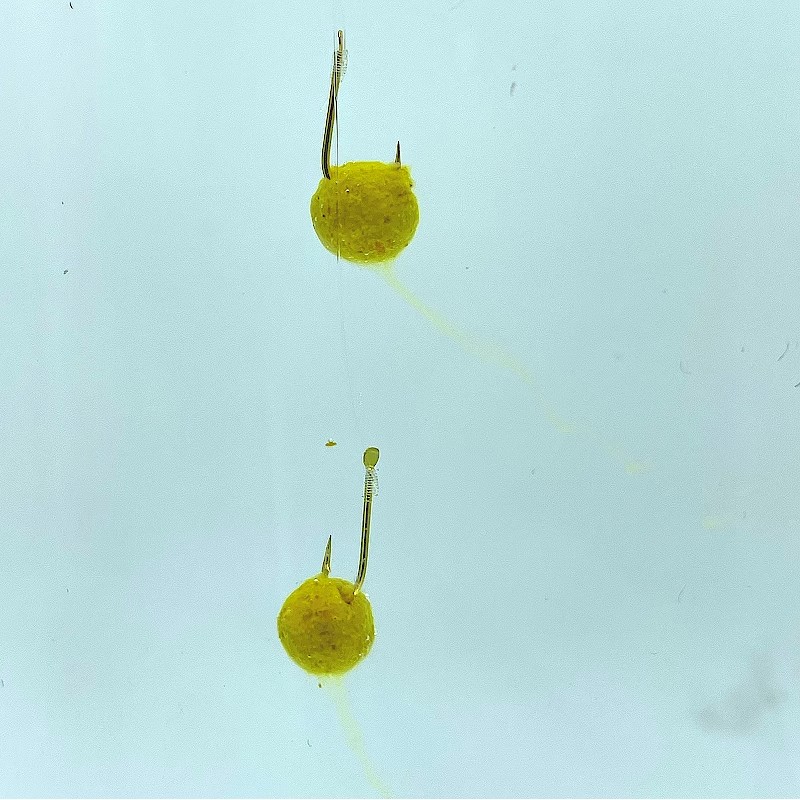 太弘金丹鱼饵虾粉蚯蚓粉昆虫蛋白饵料主攻鲫鲤草避小杂鱼颗粒挂饵 - 图2