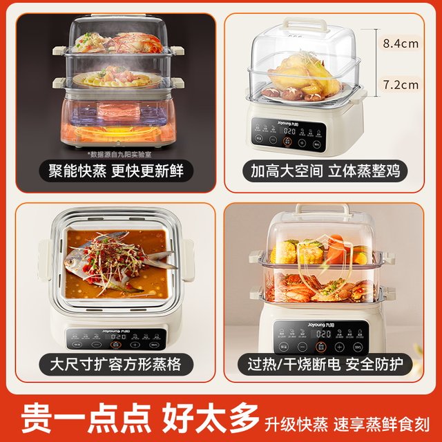 Smart electric steamer model can be made