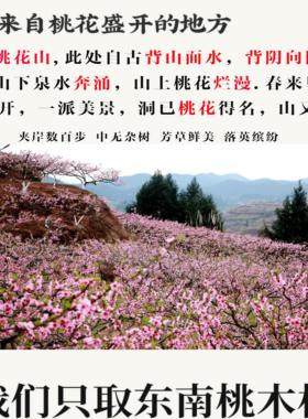 东南真品野生树枝桃木葫芦招财挂件摆件镇宅乔迁铜钱原木对门五帝