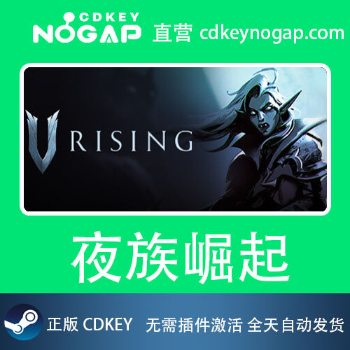 夜族崛起国区CDKey正版激活码 V Rising Steam 24h自动发货 - 图3