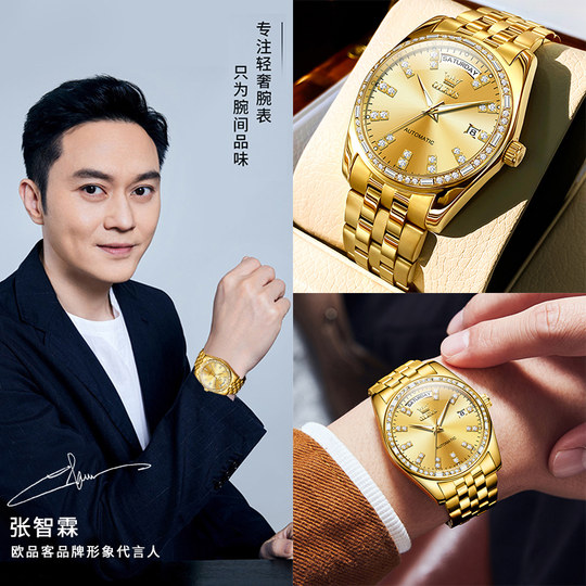 新年礼物瑞士正品男士手表机械表全自动男款表防水名牌表品牌十大