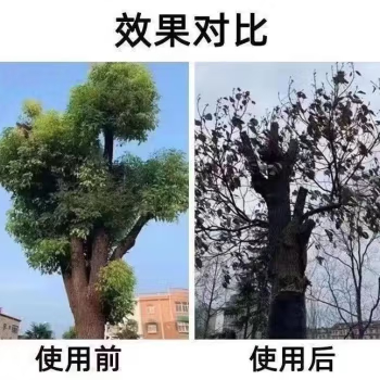 烂根强力烂大树枯烂根大树烂根剂烂树粉大树竹子杂草灌木腐蚀根部 - 图2