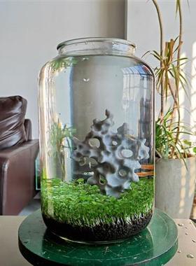 迷你太湖石假山石摆件禅意家居玄关装饰盆景造景摆件鱼缸草缸客厅