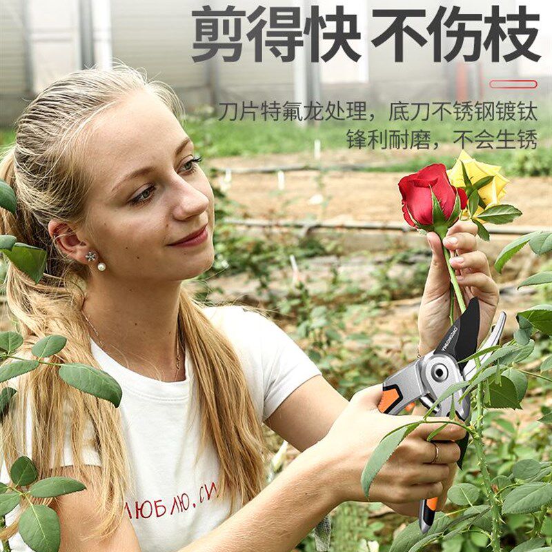 德国精工艺园剪树枝专用剪刀修枝剪园林修花剪子园艺果树省力家用 - 图1