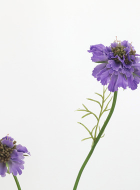仿真花花束紫色风车花假花