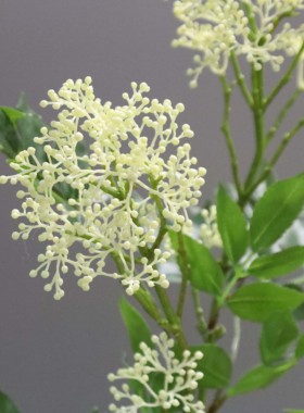 仿真植物千里香花苞枝家居摆件