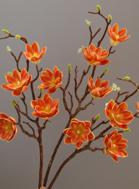 玉兰仿真花中式高档假花