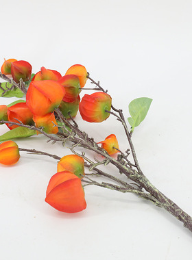 单枝宫灯花果串 仿真花艺客厅落地假花叶脉干花花束插花室内装饰