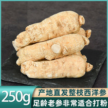 American Ginseng Section Whole Branch Foreign Ginseng Root white Mountain 6-8 years Grain Head Bubble Water Whole Roots Non Canadian Citi Ginseng