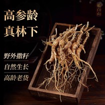 Northeast Teryield Changbai Mountain Ginseng Mountain Ginseng Box Loaded Raw Sun Dry Forest Down The Mountain Ginseng Triple Bubble Wine Upscale Gift Giving Gifts