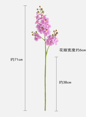 蝴蝶兰仿真花3叉12头过胶