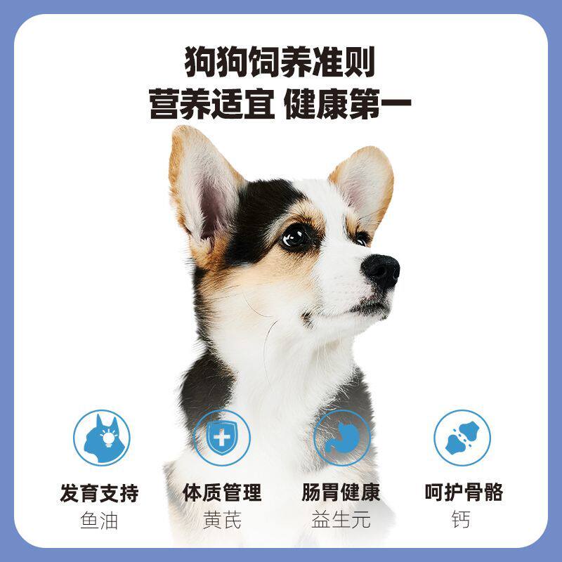 图 3