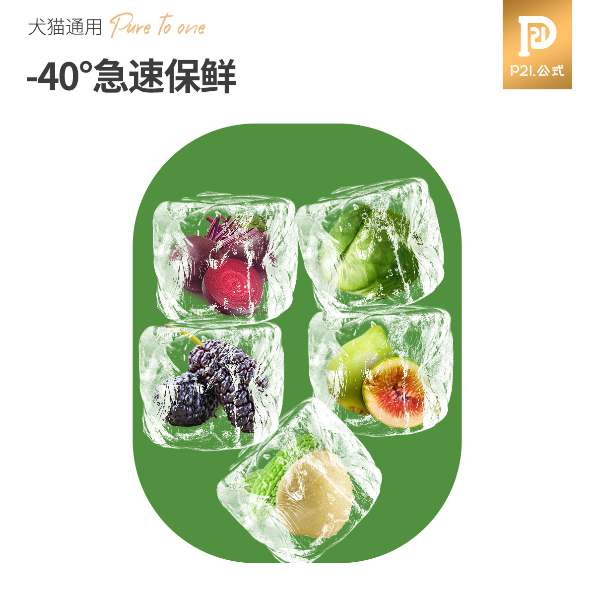 P21公式冻干无花果桑葚甜菜根猫咪零食狗狗蔬菜冻干水果拌粮通用,淘宝优惠券,粉丝福利购,淘宝优惠卷