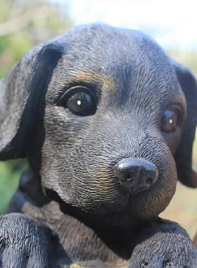 招财户外花园园林迎宾狼狗摆件庭院景观彷真动物装饰品工艺礼品摆