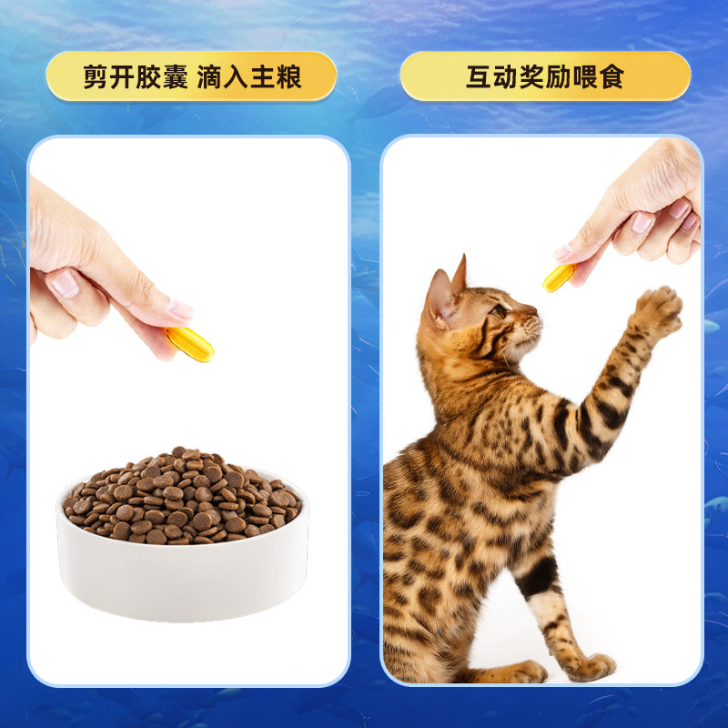 【贝比熊鱼油】三文鱼鱼油宠物营养补充剂鱼油维生素猫犬通用,淘宝优惠券,粉丝福利购,淘宝优惠卷