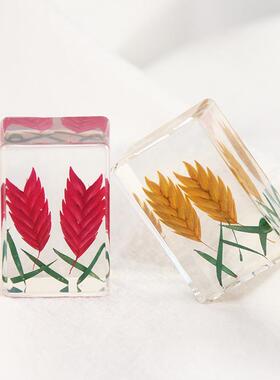 新款创意滴胶干花书镇工艺品真花标本树脂微景观装饰摆件景区热卖