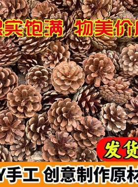 天然松果圣诞DIY装饰材料