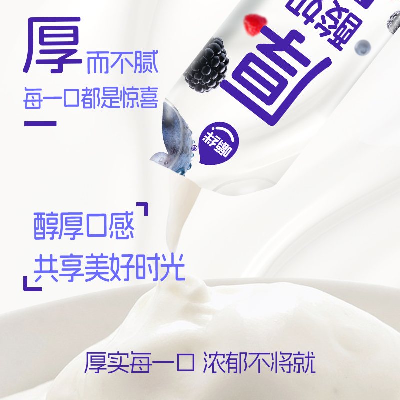 20条*60g 森林莓可劲造条状厚酸奶 嚼绊酸奶正品常温整箱