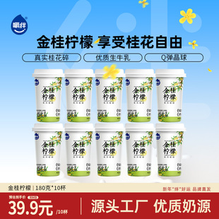 嚼绊桂韵金桂柠檬生牛乳酸奶180g*10杯