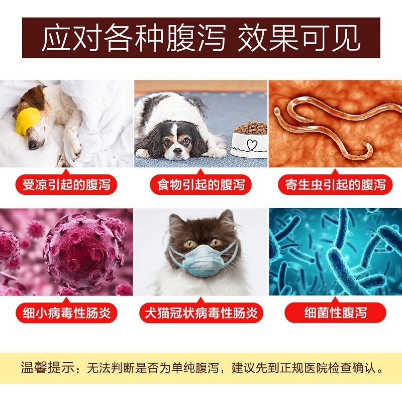 痢妥安狗狗克痢肽拉稀拉血拉肚子肠炎宠物犬腹泻呕吐肠炎止泻止痢 - 图1