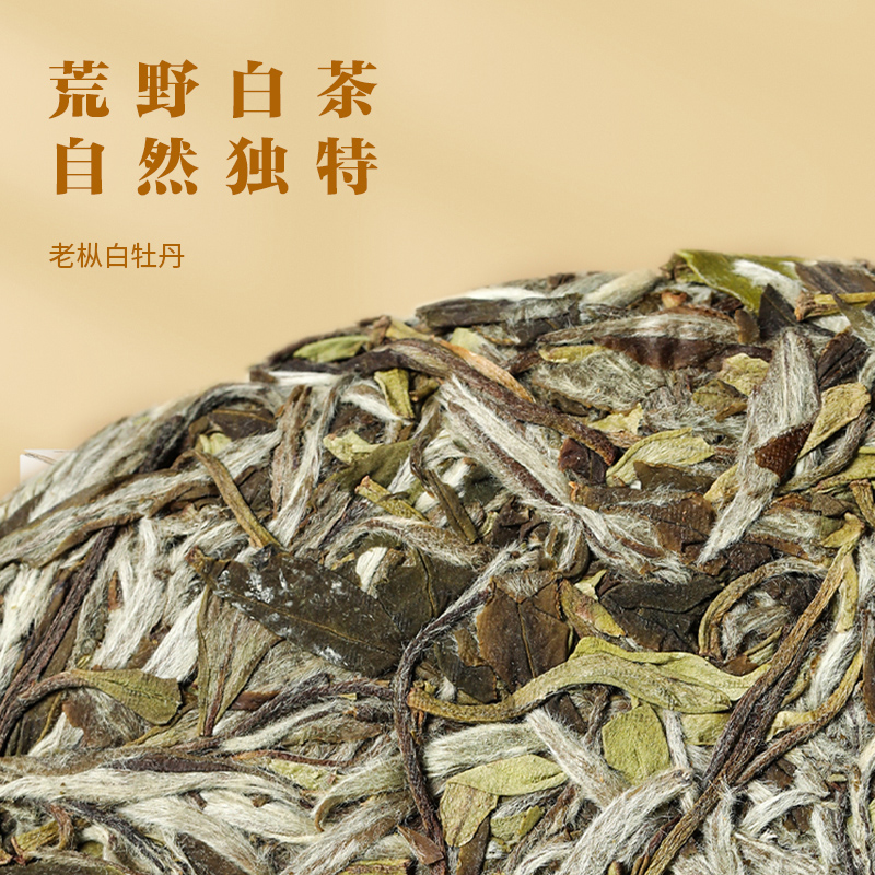 龙和信福鼎白茶荒野芳兰M2201老枞一级白牡丹磻溪茶饼茶叶花香-图0