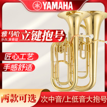 Yamaha Japans Sanitonic Soundsign on the Bass Big to Descend The B-tune Orchestra Professional Play