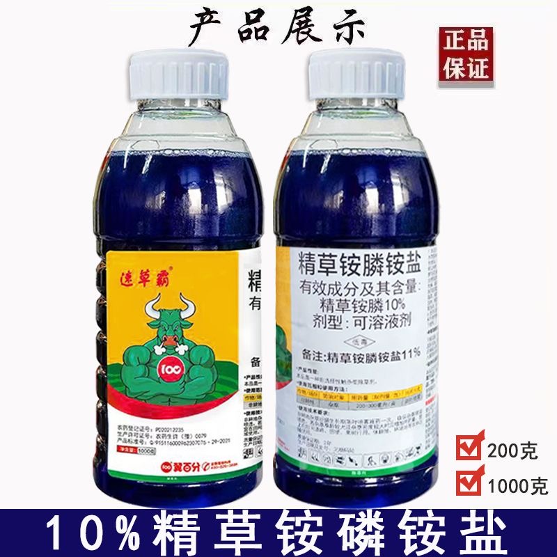 速草风精草胺磷铵盐正品除草剂一扫光杂草果茶园牛筋草小飞蓬专用-图0