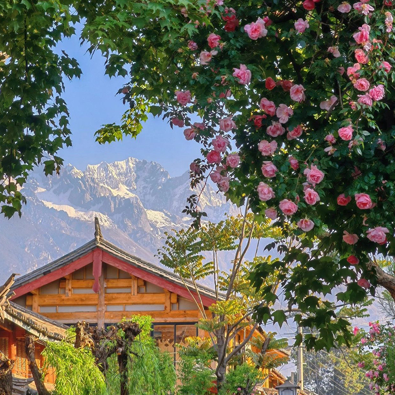 纯玩0购物住海景丨云南旅游昆明大理丽江6天5晚游西山崇圣寺三塔 - 图3